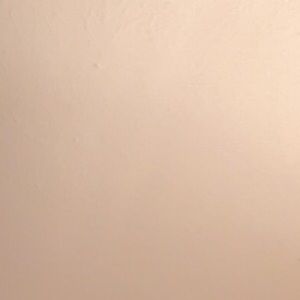 Meet your Posher, Rocco